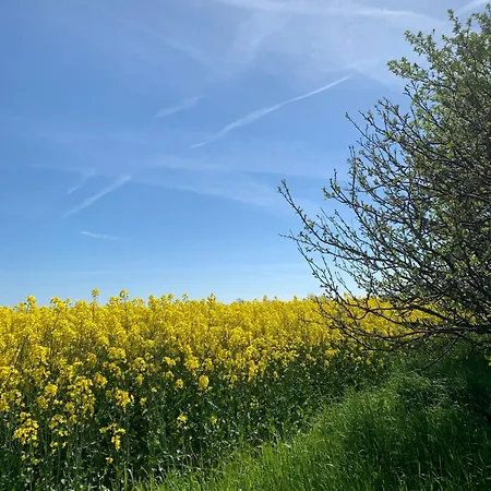 Ahoi Wiek auf Rügen